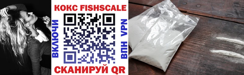 КОКАИН Fish Scale  Купить закладки  Балей 