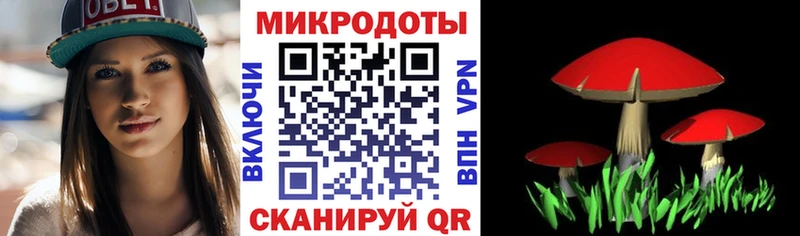 Галлюциногенные грибы Cubensis  Купить закладки  Балей 