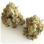 Шишки "White Widow"  (Белая вдова)  Гидропоника -  Бошка VHQ в Балее